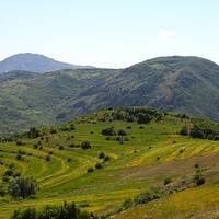 جنگل های ارسباران 